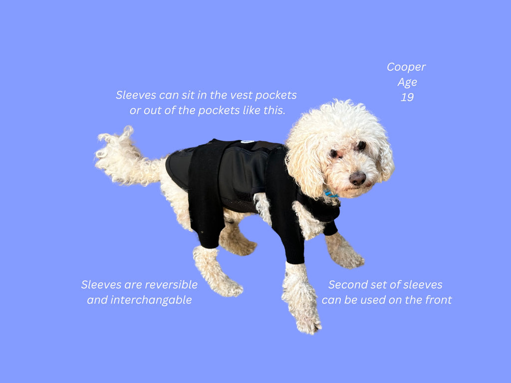 Mobility Brace for Dogs