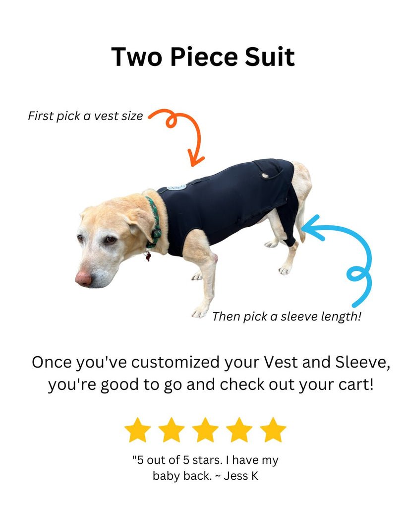 Dog in life changing support suit