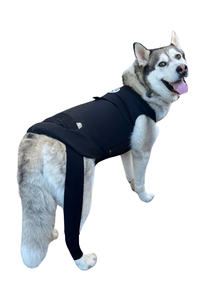 Customized Dynamic Support Dog Vest