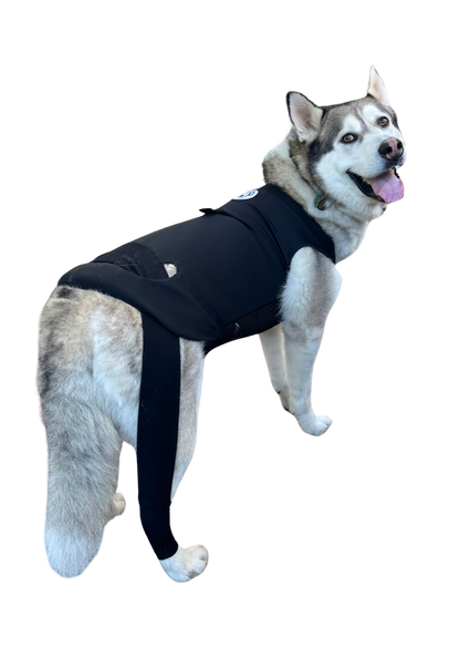 Customized Dynamic Support Dog Vest