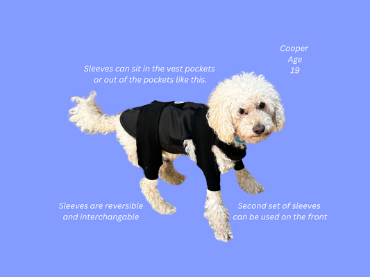 MOBILITY SUPPORT BRACE: Exercise & Support for Dogs