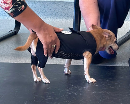 Dynamic Dog Sleeves - Front or Back Legs