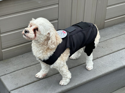 Customized Dynamic Support Dog Vest