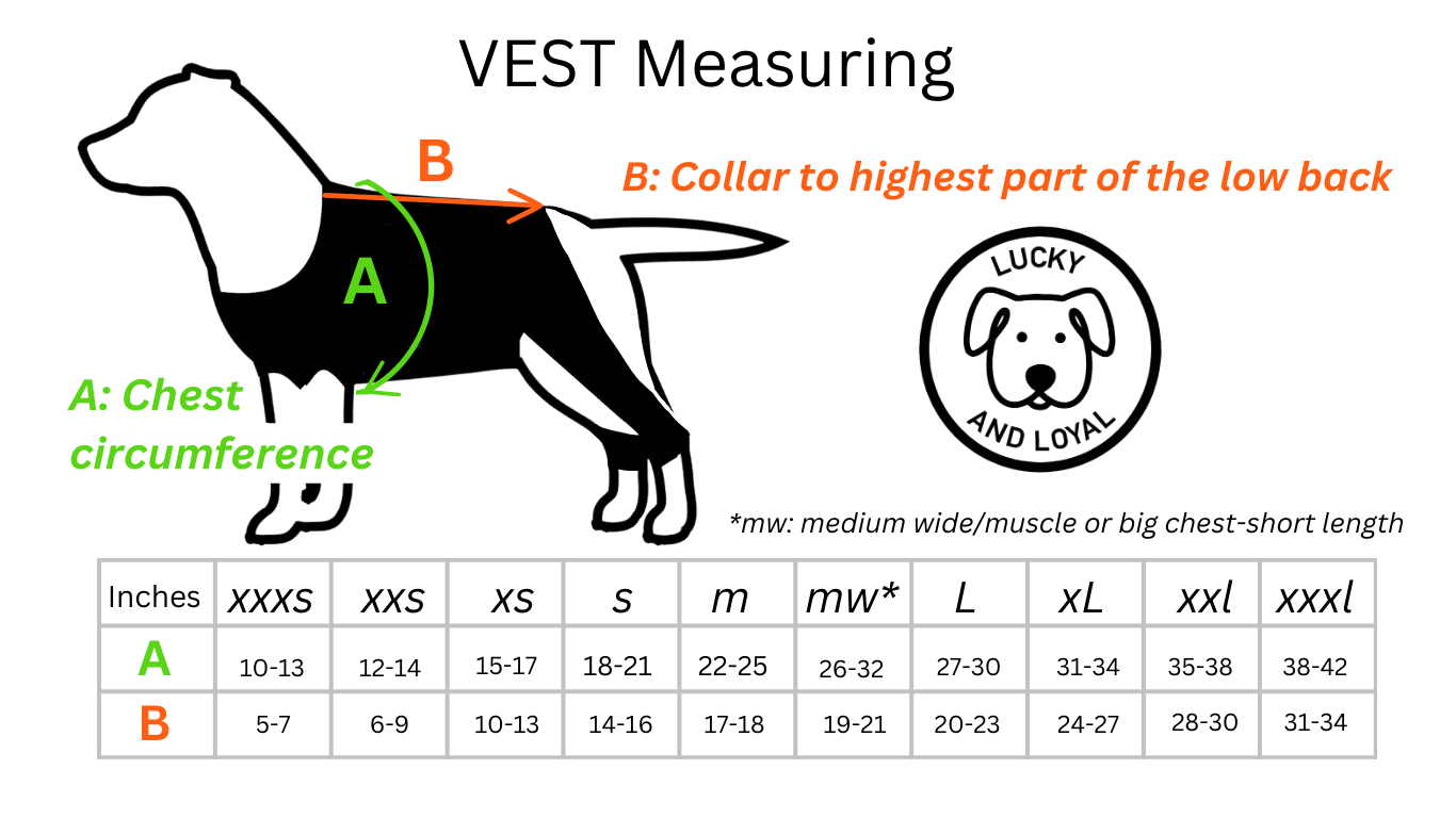 Customized Dynamic Support Dog Vest