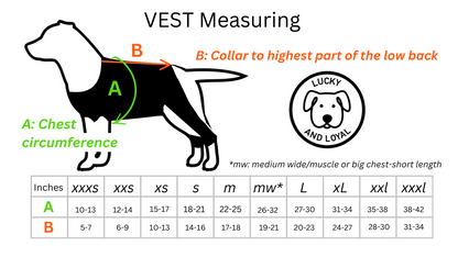 Customized Dynamic Support Dog Vest