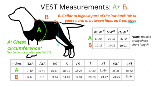 _NEW 2025 Size Chart .png