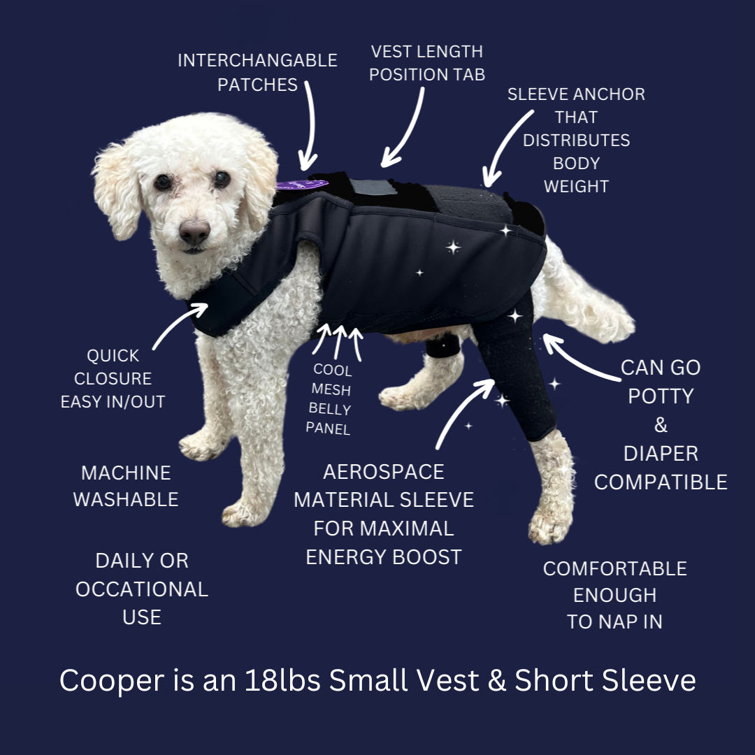A white dog wearing a black mobility support brace with text highlighting various features such as interchangeable patches, quick closure, machine washable, and comfortable.