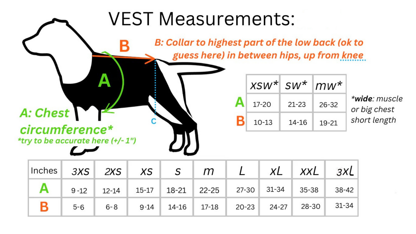 MOBILITY SUPPORT BRACE: Exercise & Support for Dogs