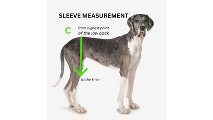 Dynamic Dog Sleeves - Front or Back Legs