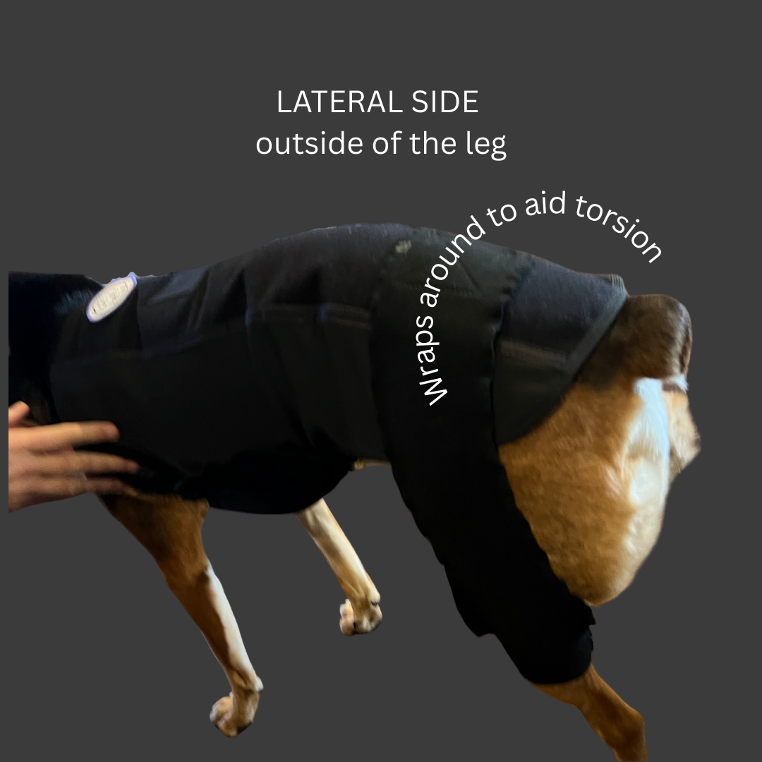 Tripod Sleeve Back Leg