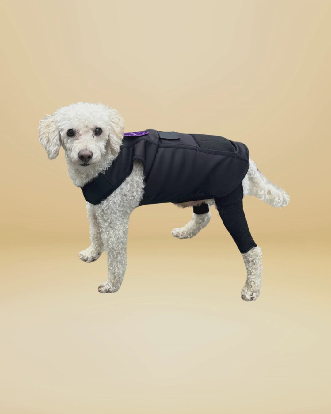 new-patented-orthopedic-vest-sleeve-bracing-set – LuckyandLoyal.com