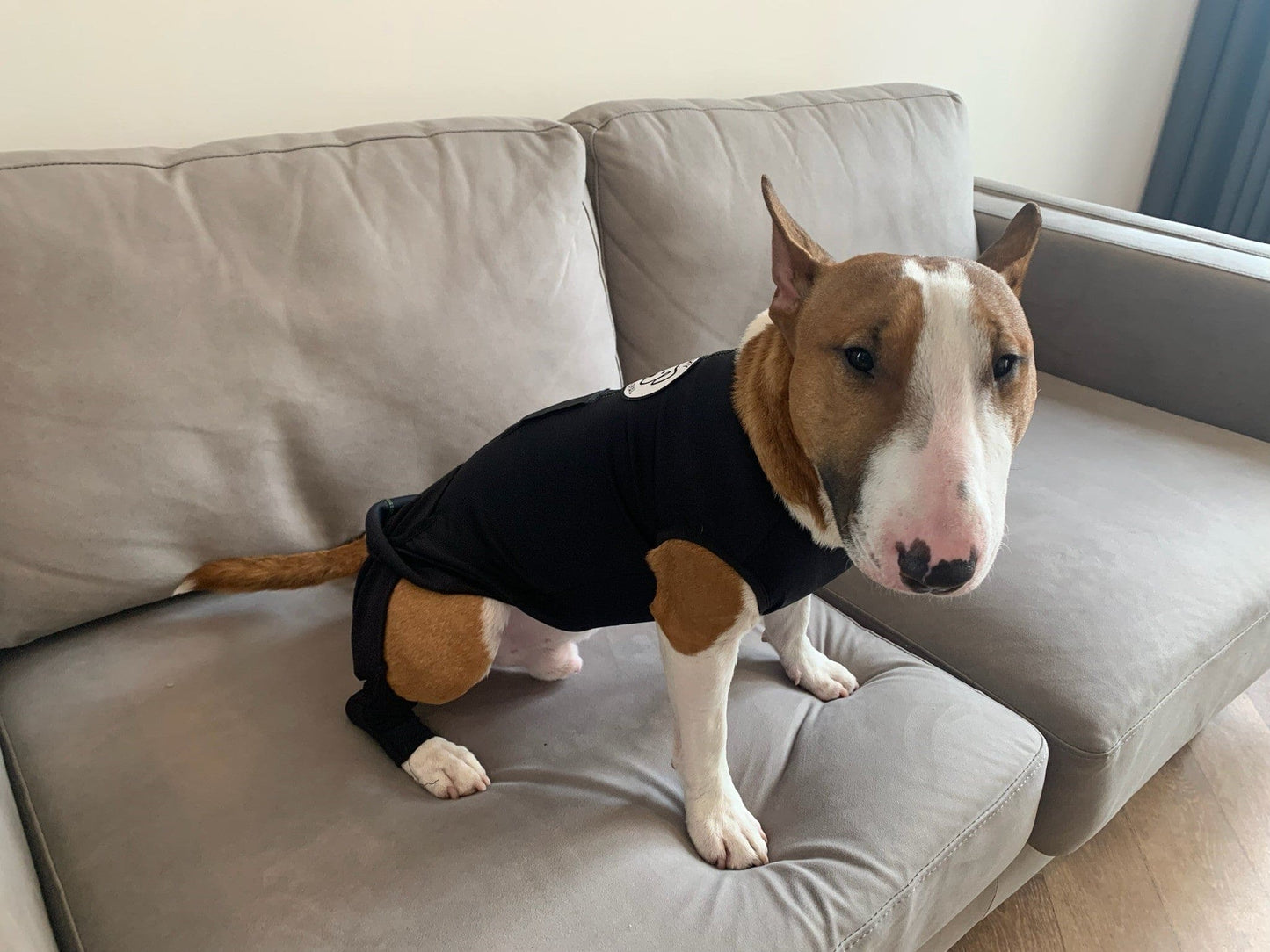 arthritis vest