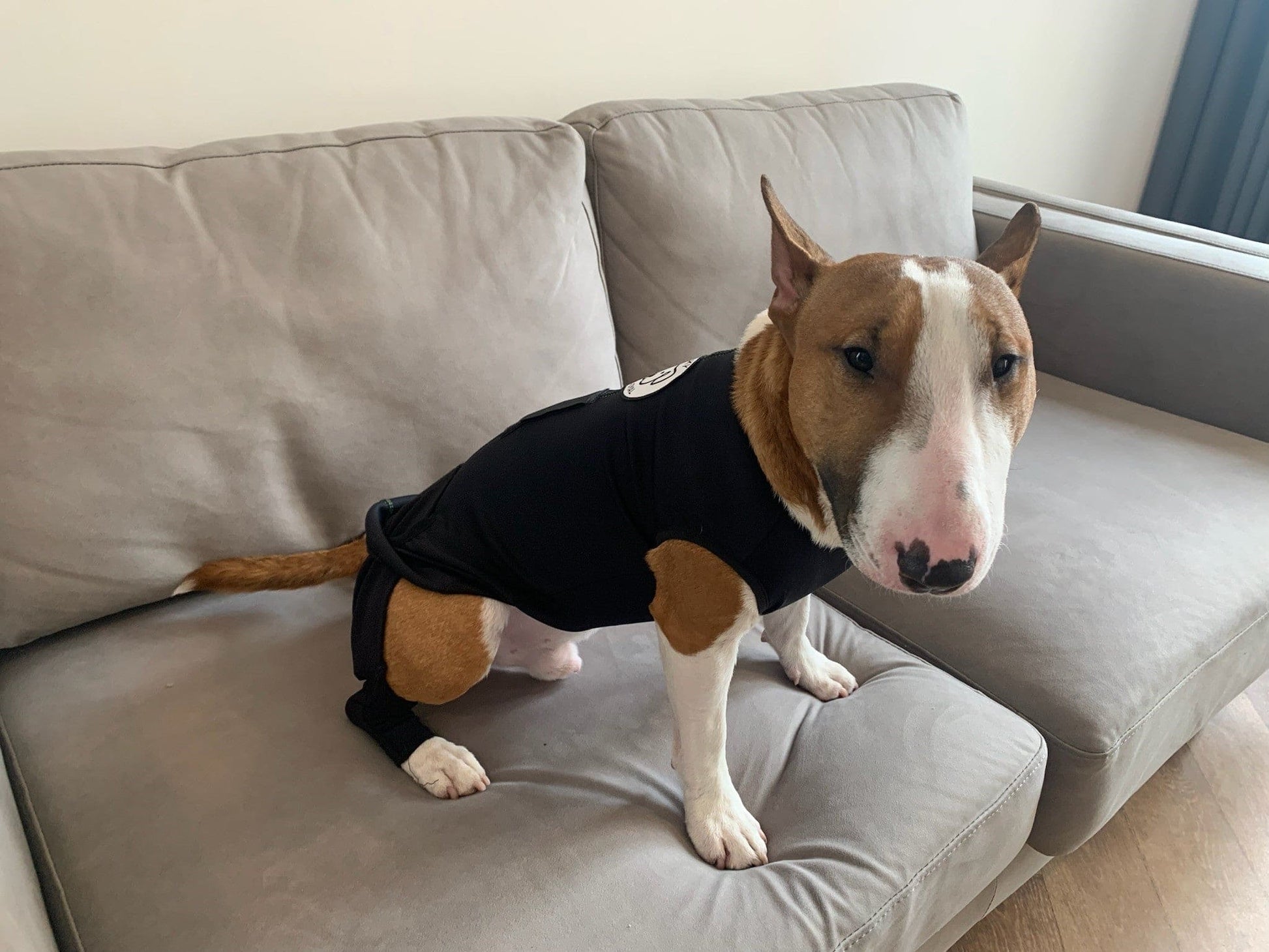 arthritis vest